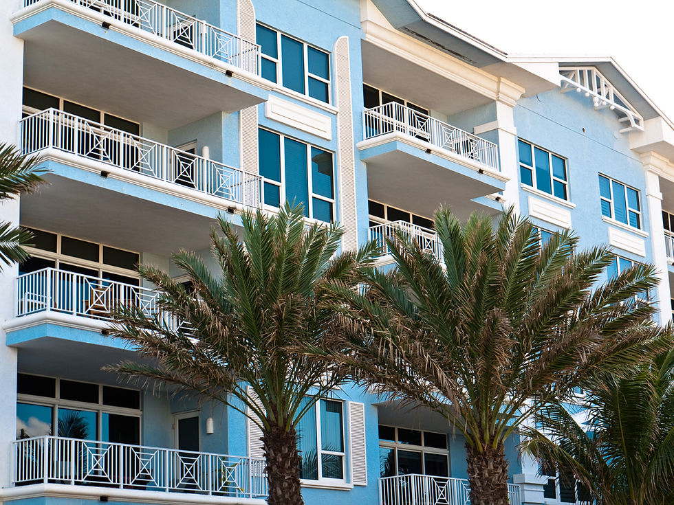 Palm Trees at a Florida Condo